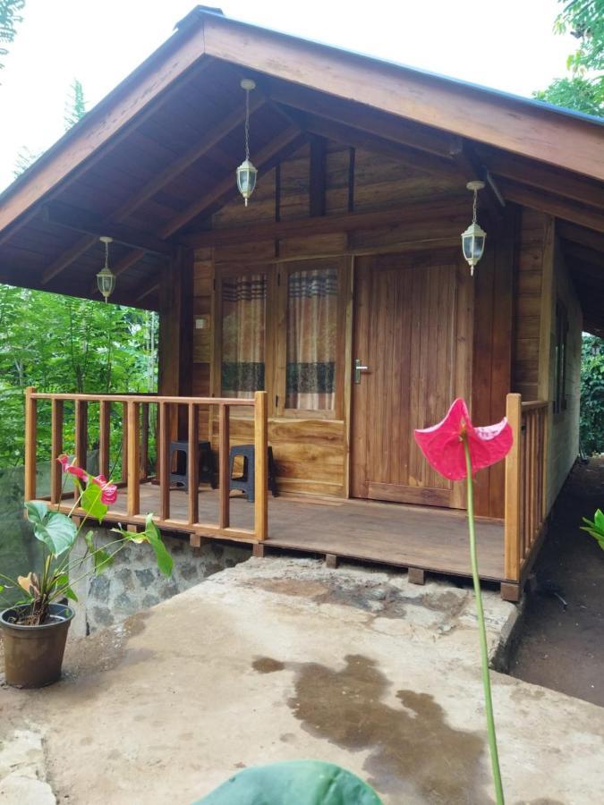 Diyaluma View Cotage Otel Koslanda Dış mekan fotoğraf