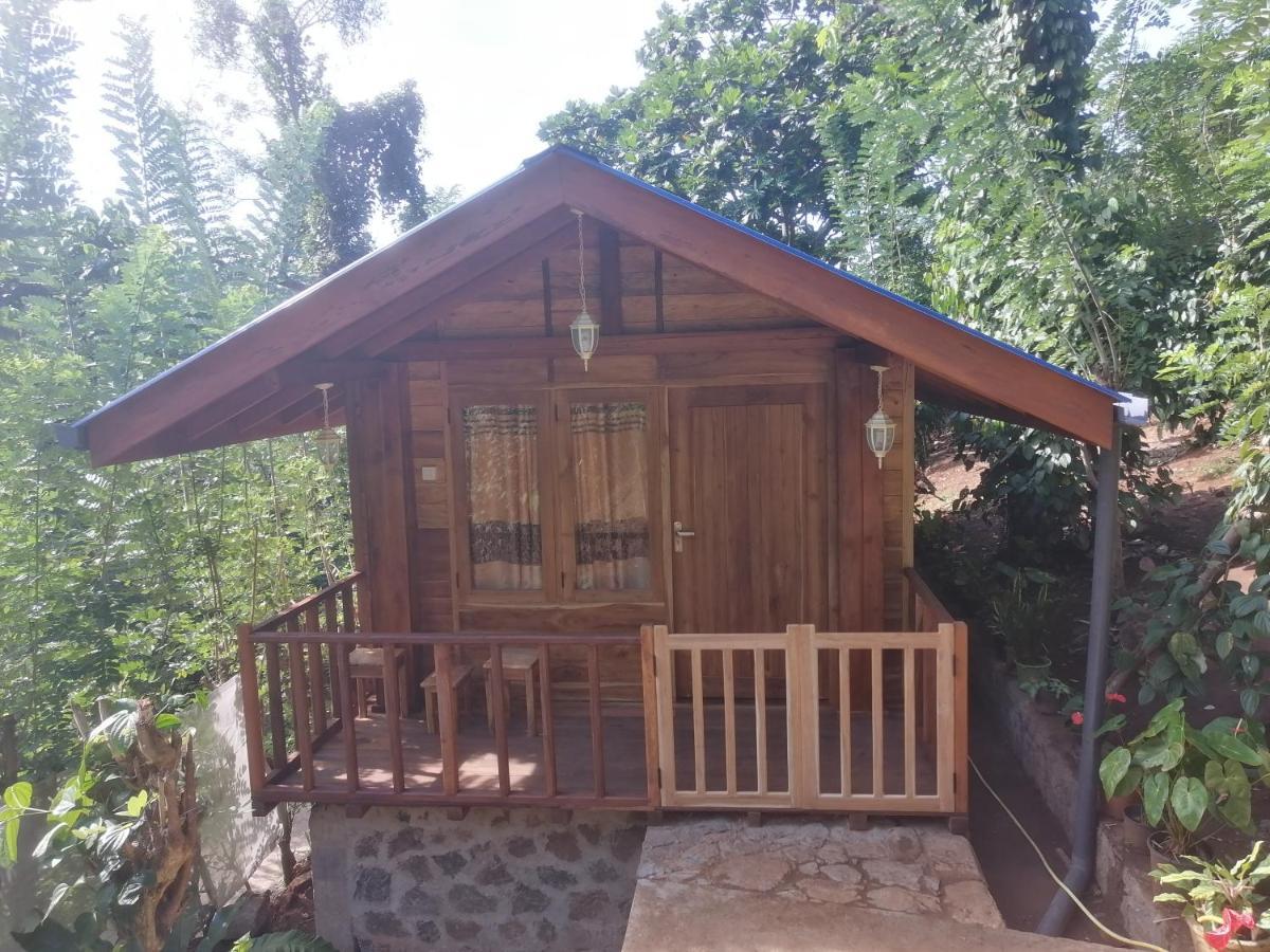 Diyaluma View Cotage Otel Koslanda Dış mekan fotoğraf